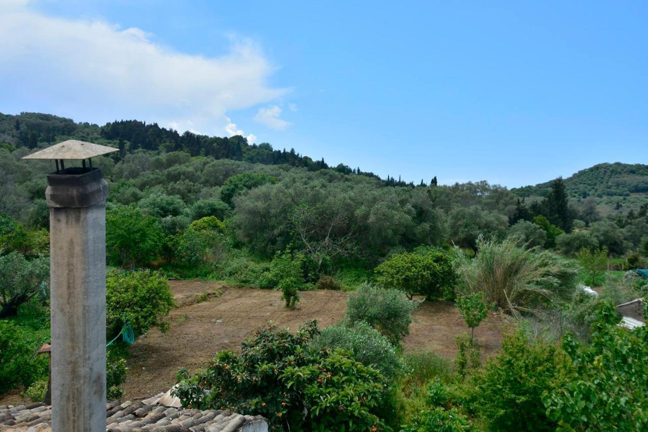 فيلا Balukas House Dragotiná المظهر الخارجي الصورة