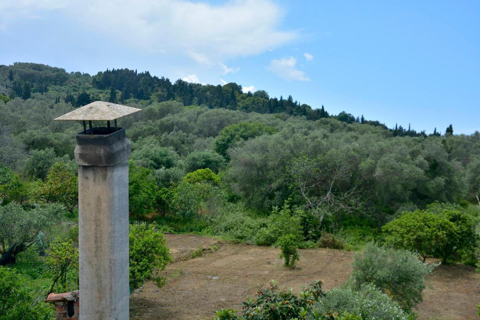 فيلا Balukas House Dragotiná الغرفة الصورة